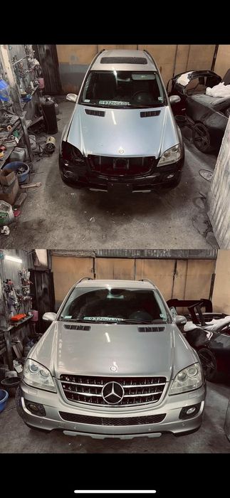 Костоправ моляр, покраска