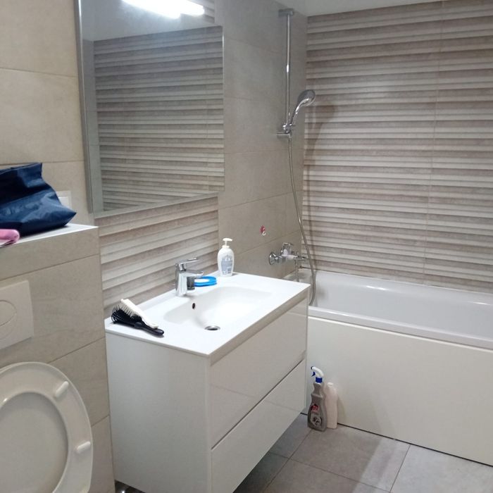 Inchiriere apartament cu o camera