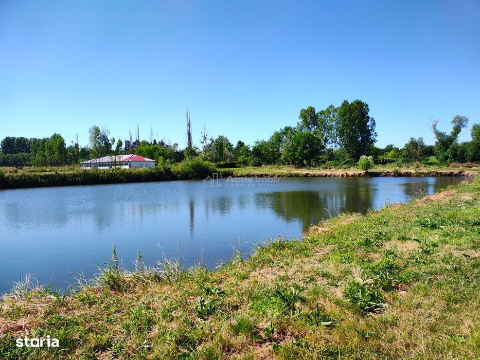 Teren 18.247 mp cu balta de pescuit – Misca, Comuna Chislaz, Bihor