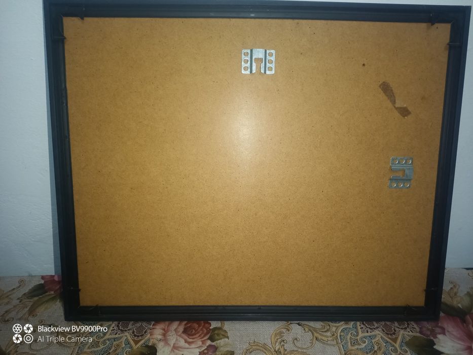 Tablou semnat pictat in acuarela cu sticla