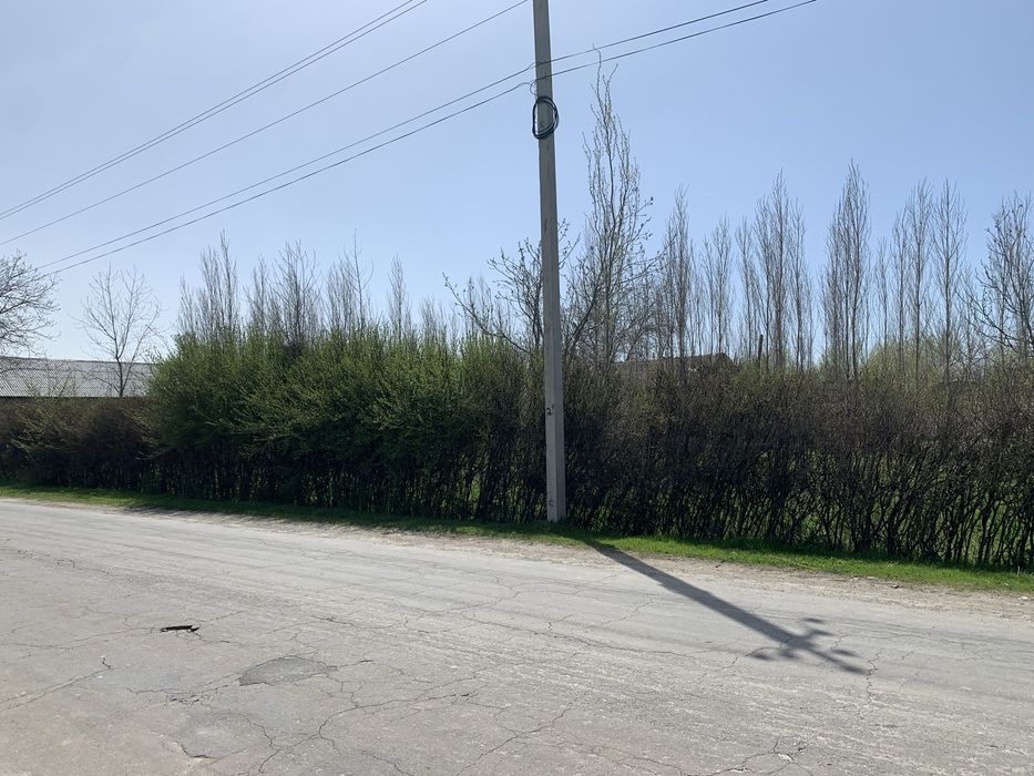 Йер 15 сутик сотилади