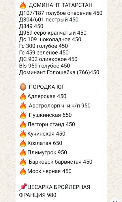 Инкубационное яйцо