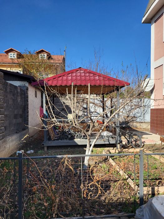 Обрезка плодовых деревьев