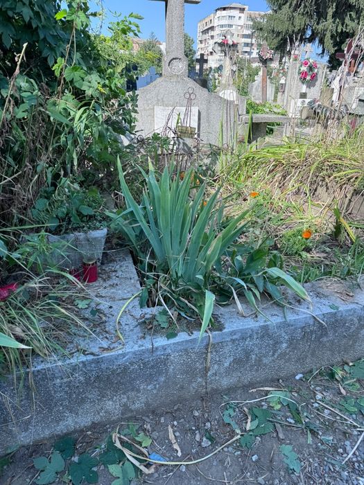 Vând 2 locuri de veci cimitirul central