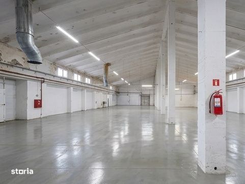 Spatii - logistic sau productie - UNGHENI - acces TIR - de la 409 mp l