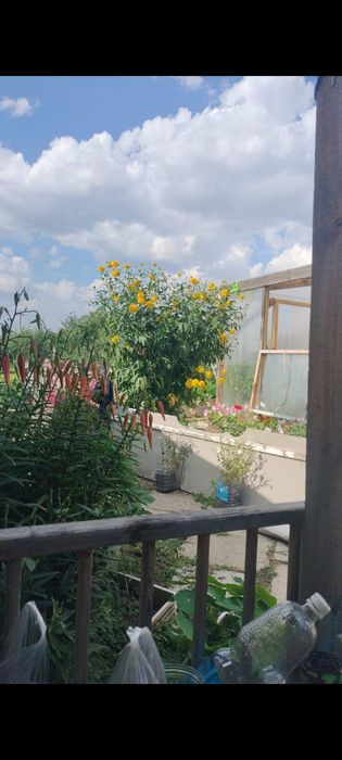 Срочно продам дачу в городе