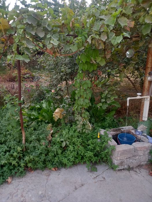 Уй сотилади 5ком