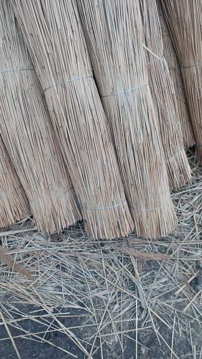 Vând stuf 2023/2024