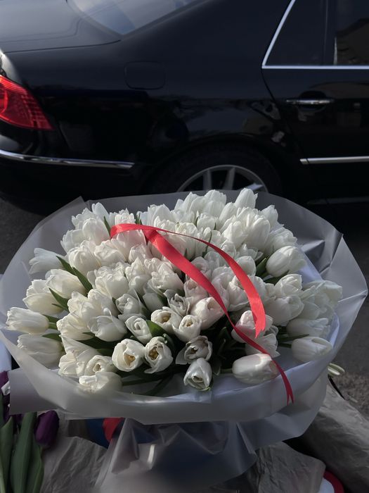 Тюльпаны по хорошей цене