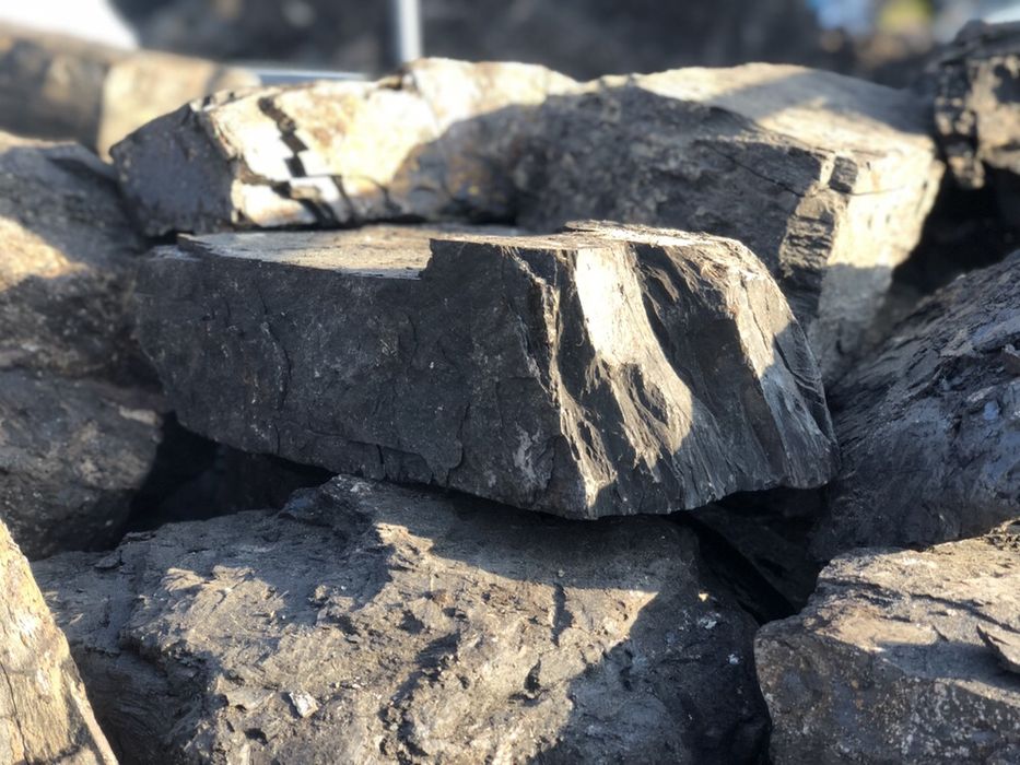 Carbuni pentru foc sortati fără praf sau pământ super oferta