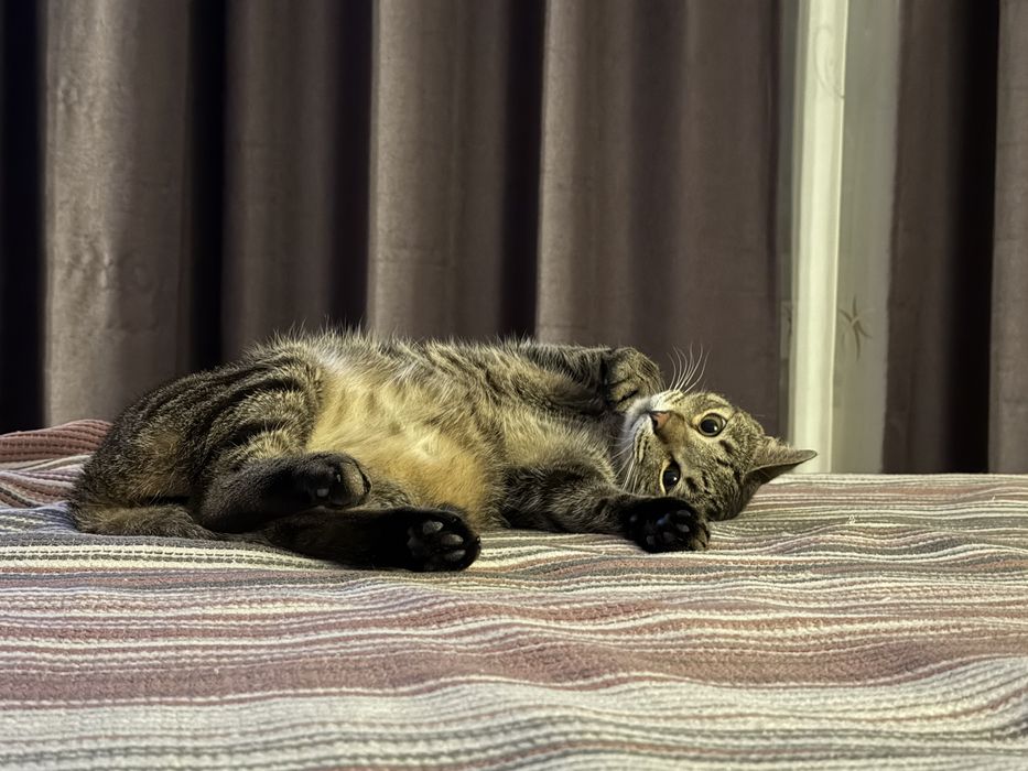 Edgar își caută o familie iubitoare