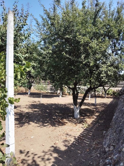 Casa de vanzare ,mobilata, utilata,cu vad stradal excelent!