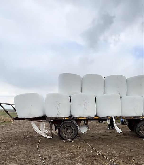Baloți înfoliați de lucerna, 800 kg balotul.