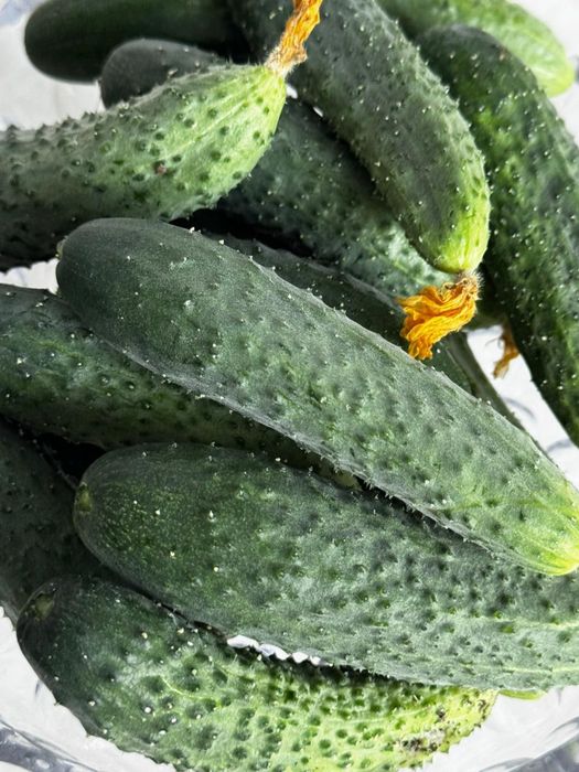 Продам огурчики домашние.