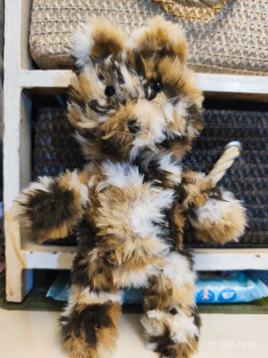 Пухкаво приятелче