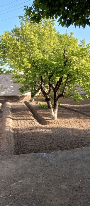 Ховли сотилади. Военный городокда