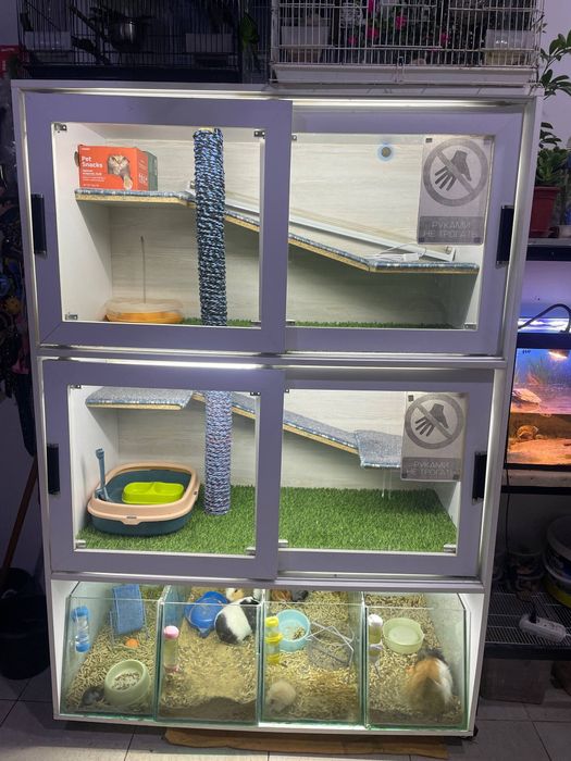 Вольер для котят