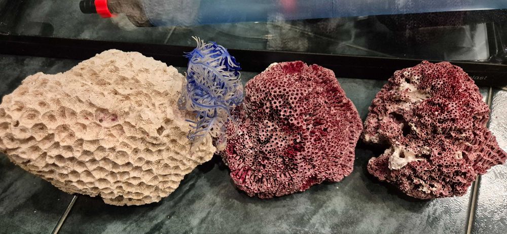 Професионален аквариум Ferplast Cayman 50 Pro + екстри