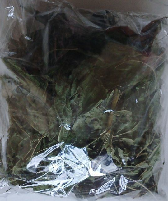 Soyada quritilgan Ehinatsiya