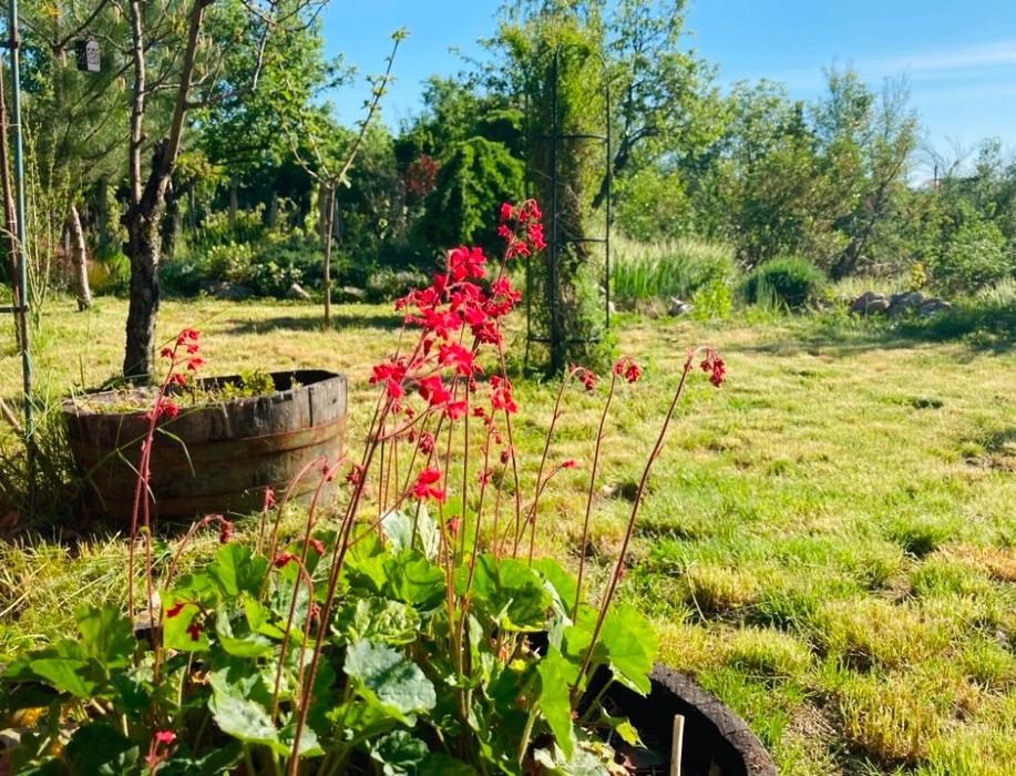 Продава се Къща в с. Песнопой, Област Пловдив - 50 кв.м за 357 €/кв.м - Снимка #5