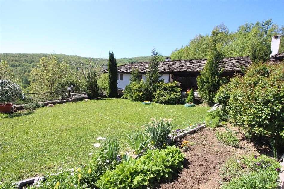 13451 -Истинско Бижу