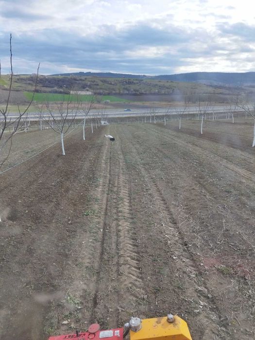 Създаване, поддържане и консултране на овощни градни област Шумен