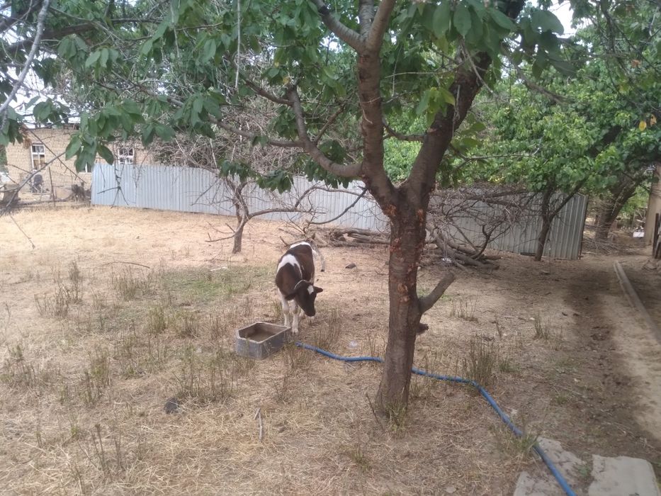 Продаётся 7соток земли с кадастором