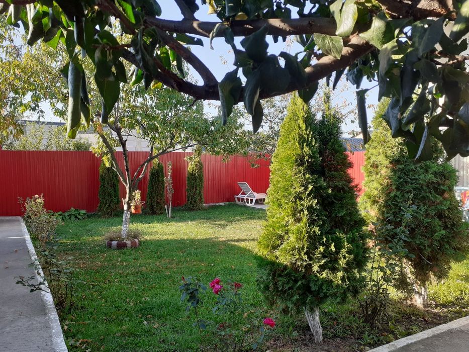 Vand vila, stefanestii de jos