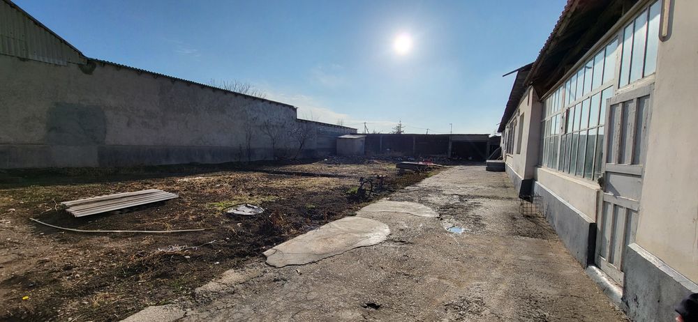 Участок  12 соток