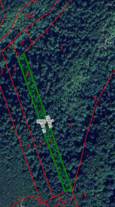 Гора 55 дка, с.Долна Бела речка, общ.Вършец