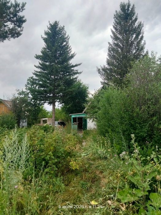 Продам дачу в п. Глубокое