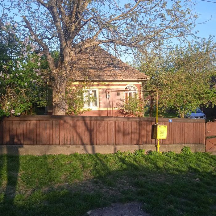 Vand casa in Visinelu 14 ari de gradina