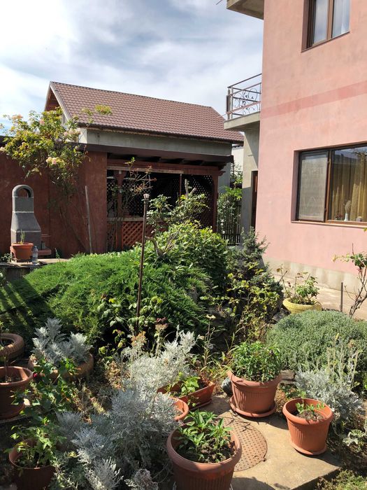 4 camere eforie nord