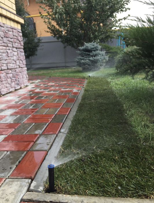 Gazon-посевной рулонновый