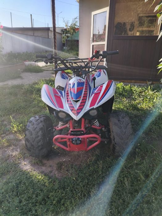 Квадроцикл детский на бензине