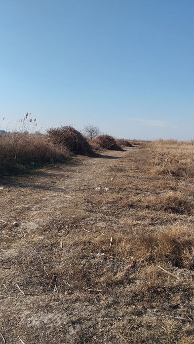 Арзон нархларда утин сотилади