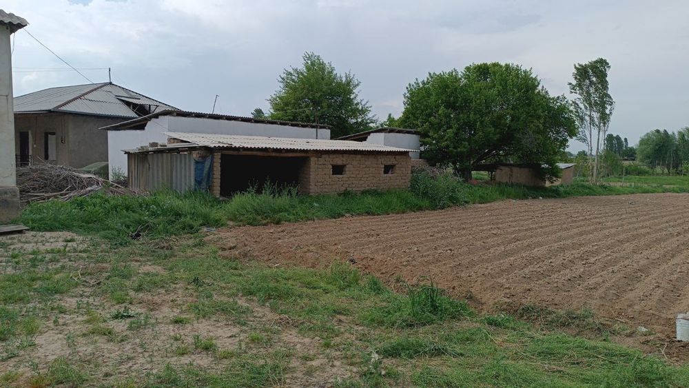 Uy sotiladi Piskent tumani Novkent mfy sozoq koʻchasi 13 uy 44 sotix