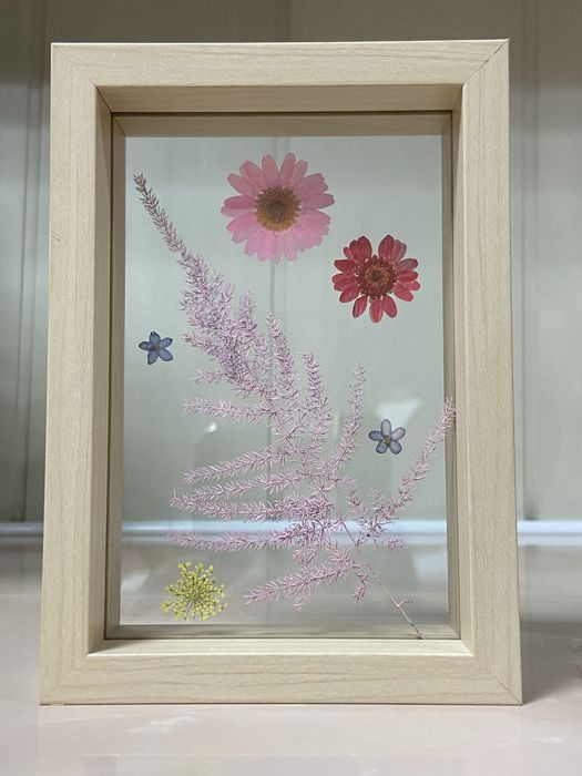 Гербарий в деревянной рамке,под стеклом