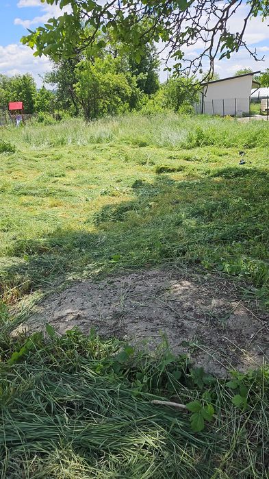 Iarba de vanzare cosita si necosita in Domnesti(Arges) si Pietrosani(Arges).Pruni, meri, nuci, stejari micuti sau mari pentru plantat in gradini.