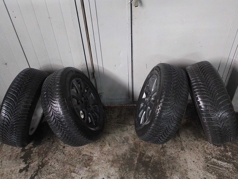 Roti iarna hankook