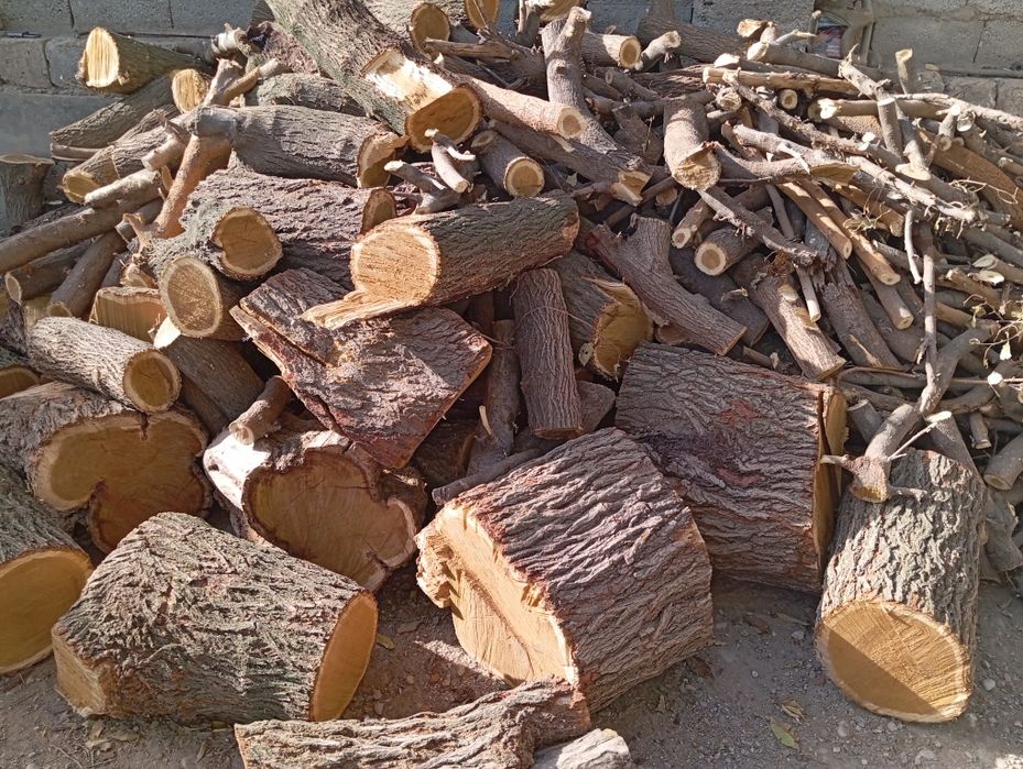 Tut utn sotiladi srochni