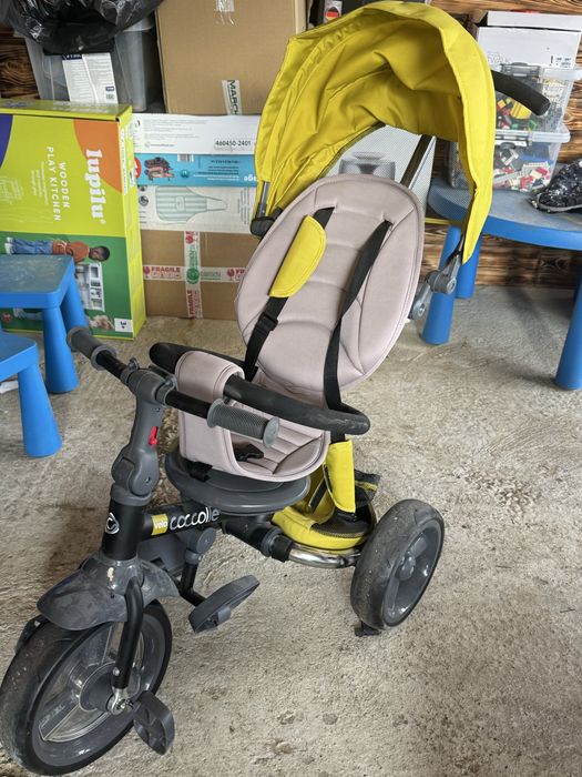 Tricicleta coccolee