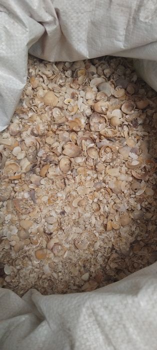 Продам отруби ,зерноотходы.зерно.