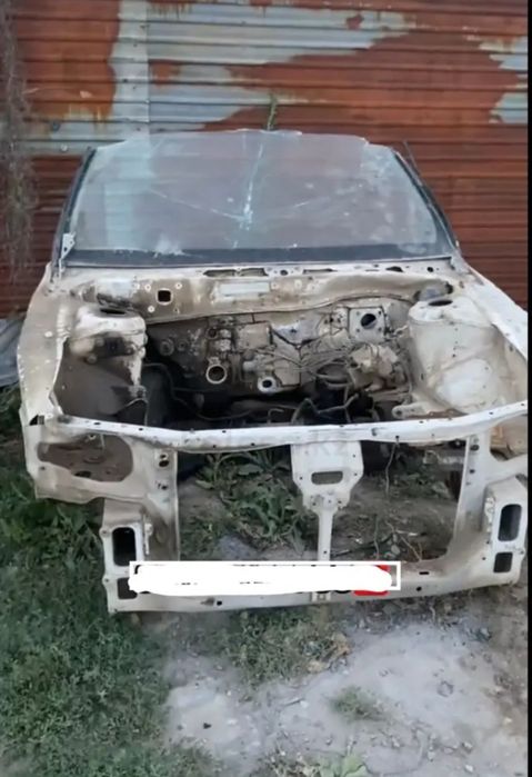 Морда максима Цефиро а32