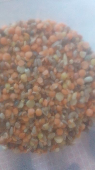 Отходы Отходы Зерноотходы Отруби