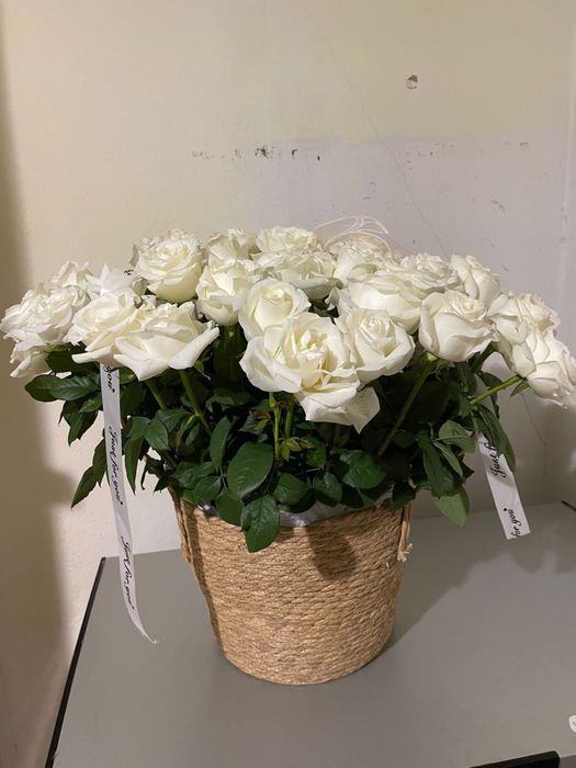 Белые розы 55 штук