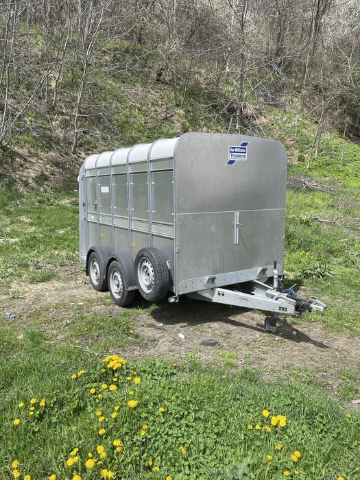 Transport animale vii autorizat