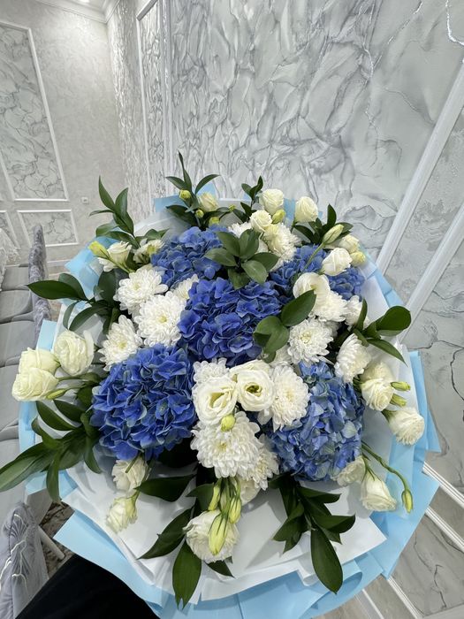 гартензия свежий