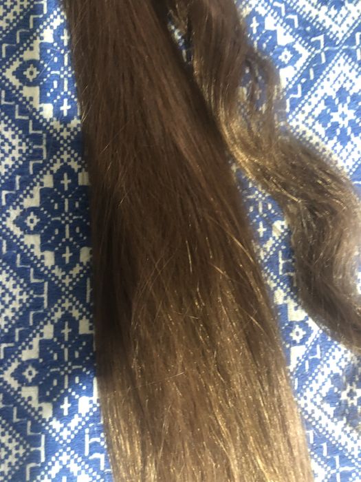 Кестенява на цвят опашка