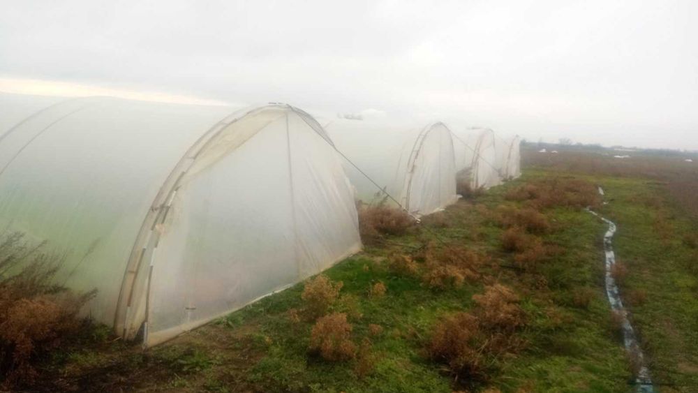 Продавам оранжерии – метална конструкция Ø32 мм